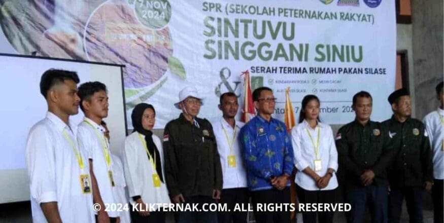 Susu Sapi Pedaging: Solusi Terabaikan untuk Atasi Stunting di Indonesia