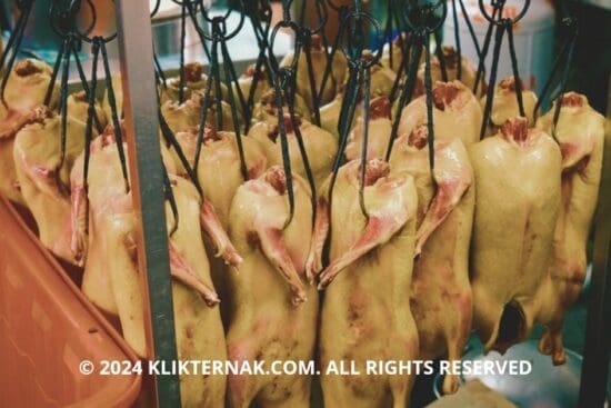 Daging Bebek: Apa Saja Nutrisi, Manfaat, dan Risiko Kesehatannya?