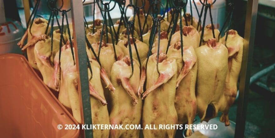 Daging Bebek: Apa Saja Nutrisi, Manfaat, dan Risiko Kesehatannya?