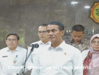 Kabar Gembira Untuk Peternak Domba Untuk Kementan