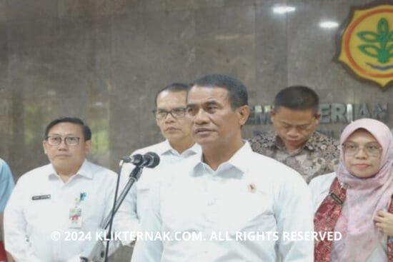 Kabar Gembira Untuk Peternak Domba Untuk Kementan