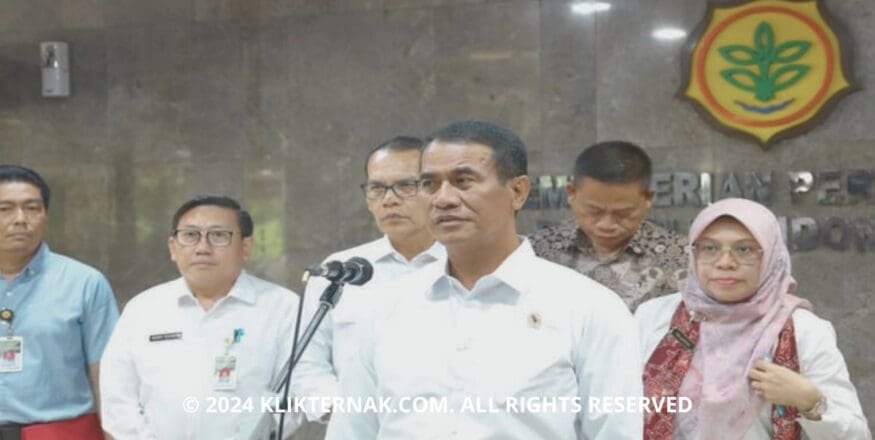 Kabar Gembira Untuk Peternak Domba Untuk Kementan