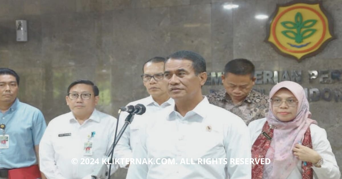 Kabar Gembira Untuk Peternak Domba Untuk Kementan