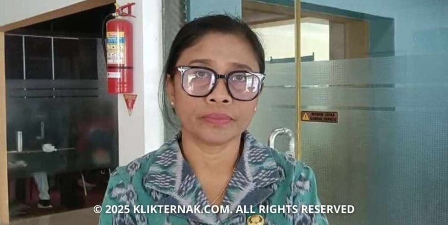 Peternak Belu Diminta Aktif Laporkan Penyakit Endemik Hewan Musiman