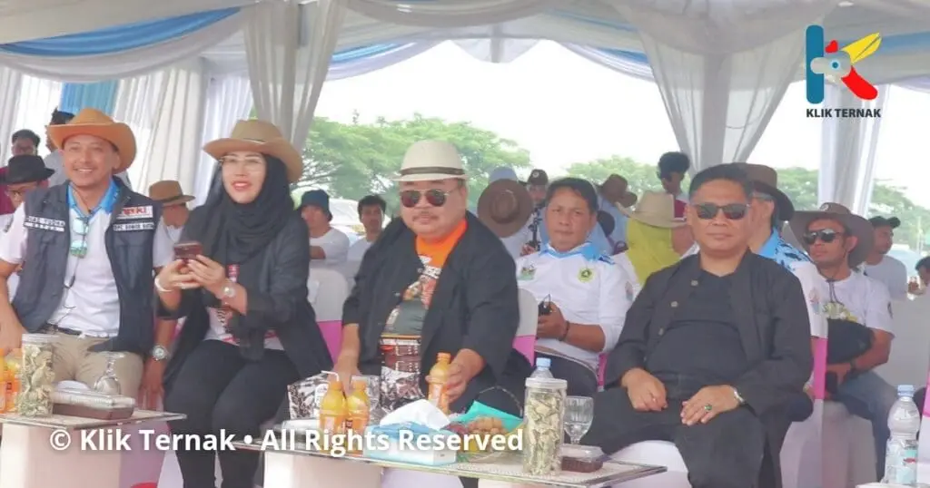 © Klik Ternak • All Rights Reserved_20250319_075447_0007