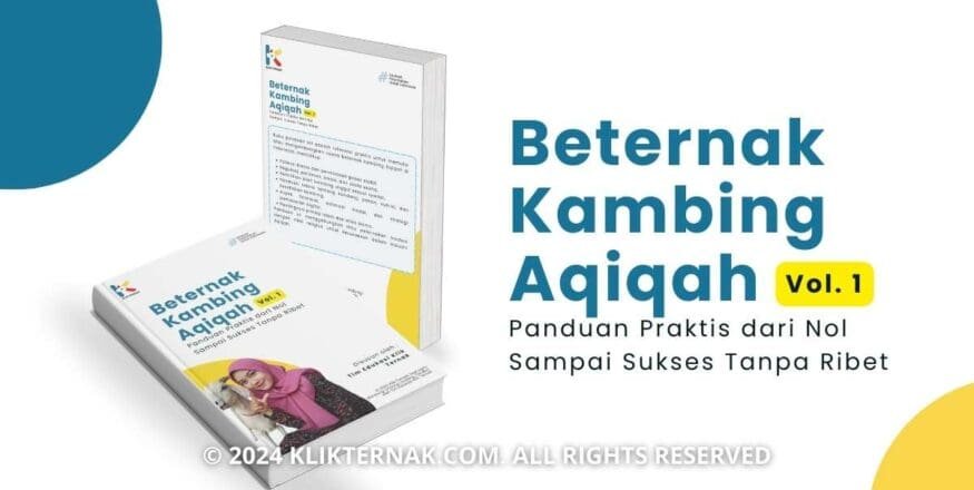 Beternak Kambing Aqiqah - Panduan Praktis dari Nol Sampai Sukses Tanpa Ribet Vol 1 Klik Ternak.pdf