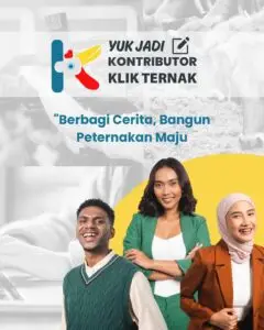 Yuk Jadi Kontributor Klik Ternak! Yuk Jadi Kontributor