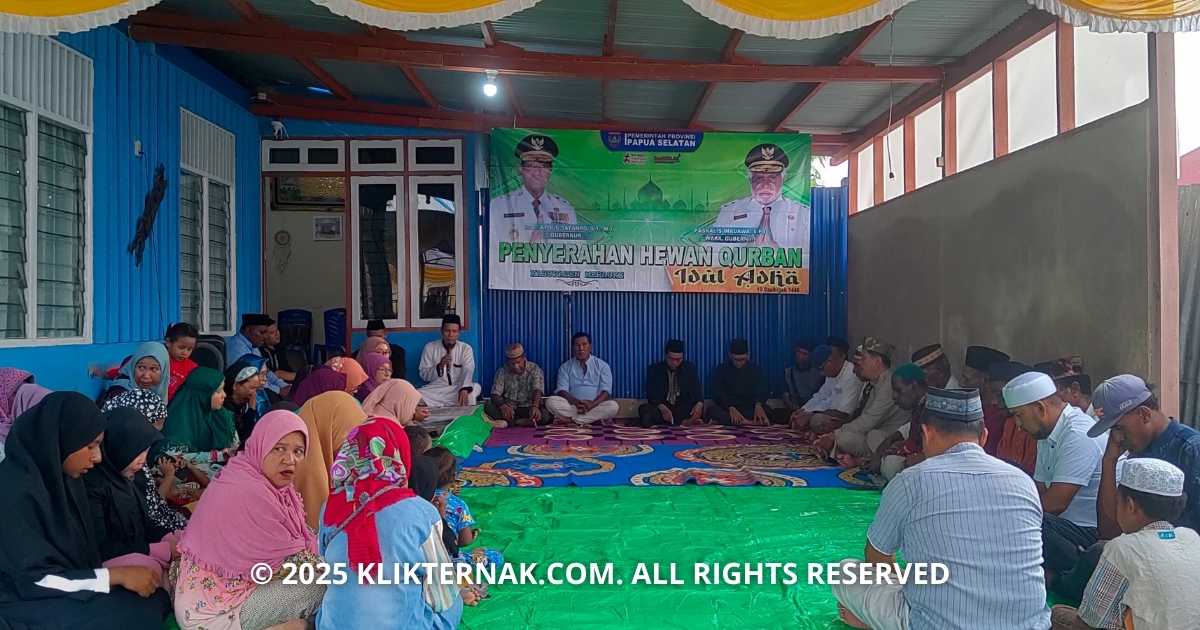 Klik Ternak