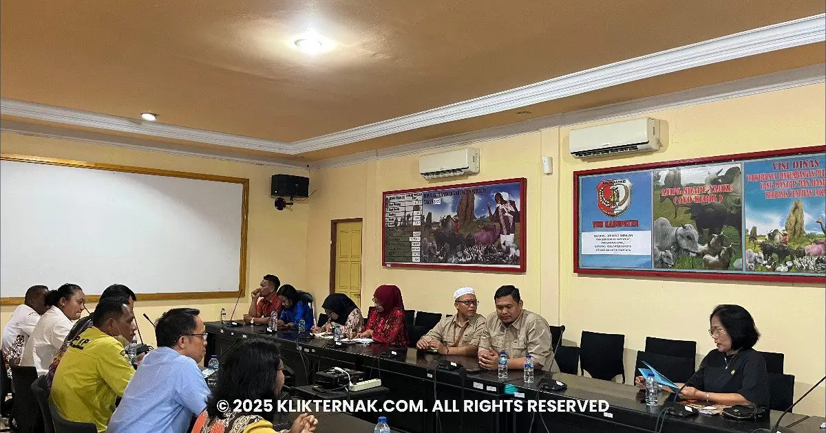 Perkuat Ketahanan Pangan Papua Selatan Pasok 200 Sapi ke Papua Tengah(1)