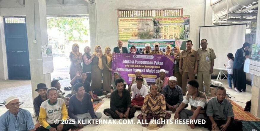 FKH UB Edukasi Peternak Lombok Tengah Pulihkan Ternak Pasca-PMK