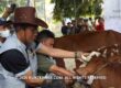 Jateng Genjot Potensi Ternak Lokal di Bulan Bakti Peternakan