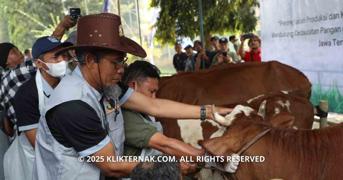 Jateng Genjot Potensi Ternak Lokal di Bulan Bakti Peternakan