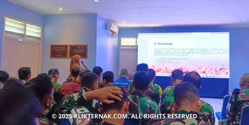 TNI AU Lanud J.A. Dimara Gelar Bimtek, Perkuat Ketahanan Pangan di Merauke
