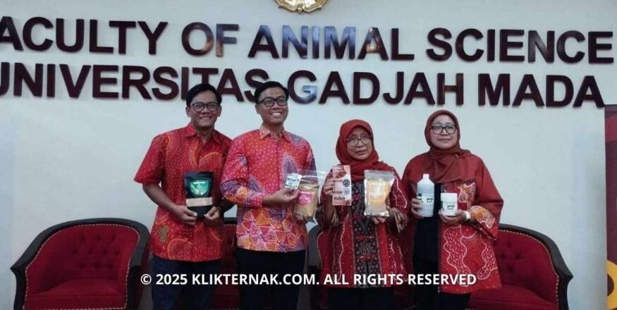 UGM Ciptakan Inovasi Pakan Redam Emisi Gas Rumah Kaca