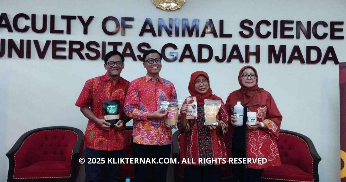 UGM Ciptakan Inovasi Pakan Redam Emisi Gas Rumah Kaca