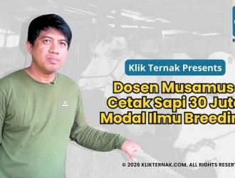 Dosen Musamus Cetak Sapi 30 Juta Modal Ilmu Breeding 20260201 181349 0000 1 by Klik Ternak