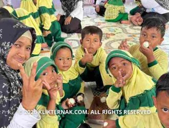 24 Siswa TK Aisyiyah Belajar Seru Peternakan Lewat Edufarm Mantup