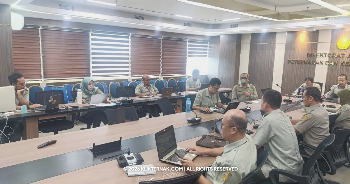 Kementan Salurkan 44 Ribu Ekor Ayam Petelur ke Peternak Dukung Stabilitas Telur Nasional by Klik Ternak