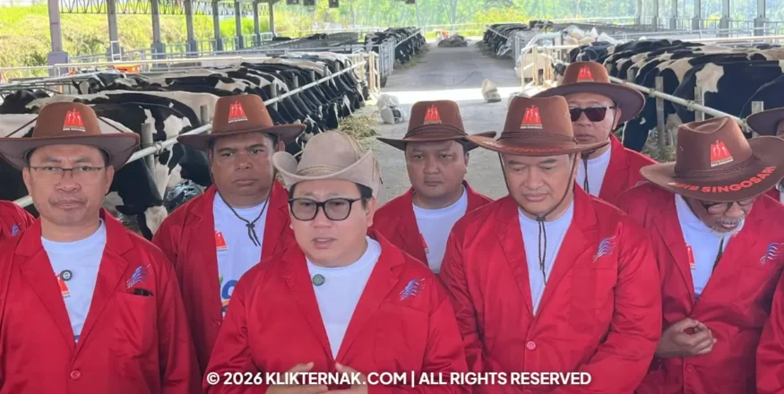 Klik Ternak