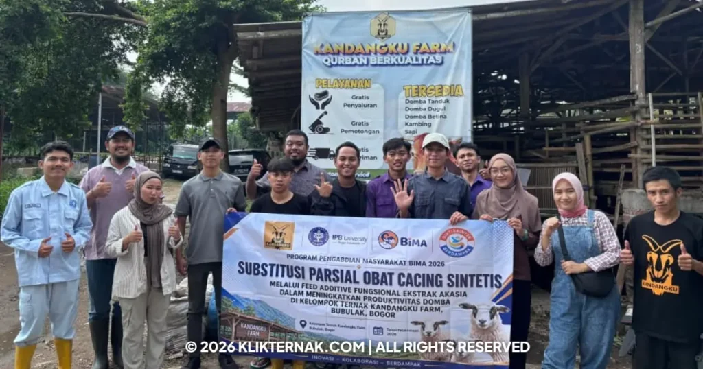 Beranda Klik Ternak