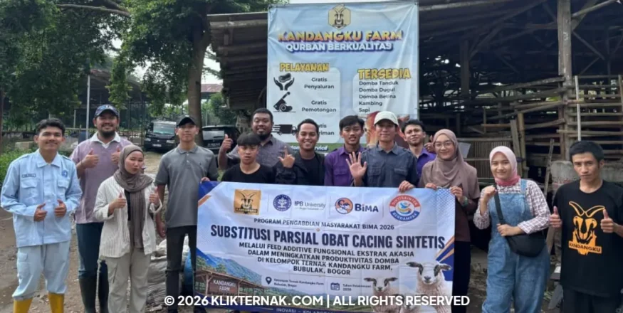 Klik Ternak