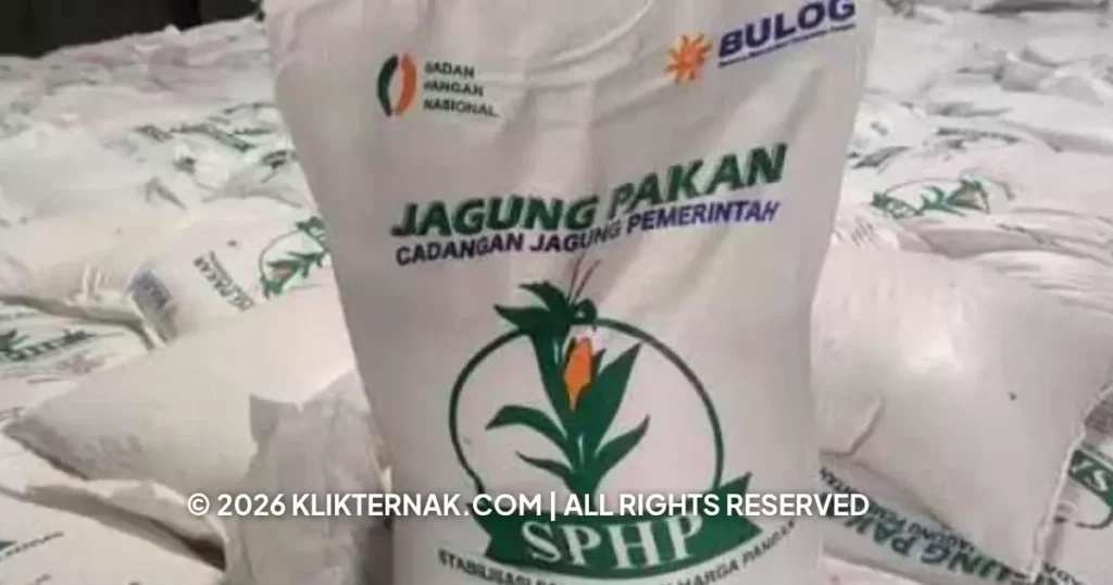 Beranda Klik Ternak
