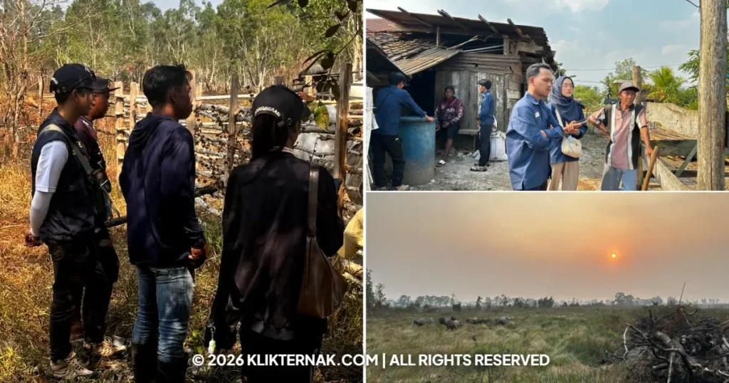Beranda Klik Ternak