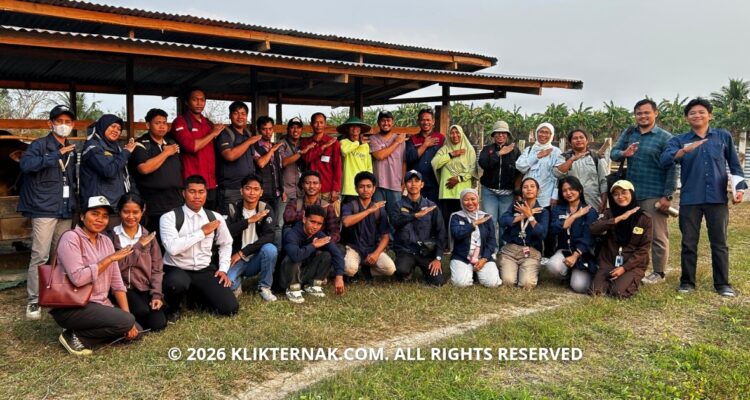 Beranda Klik Ternak