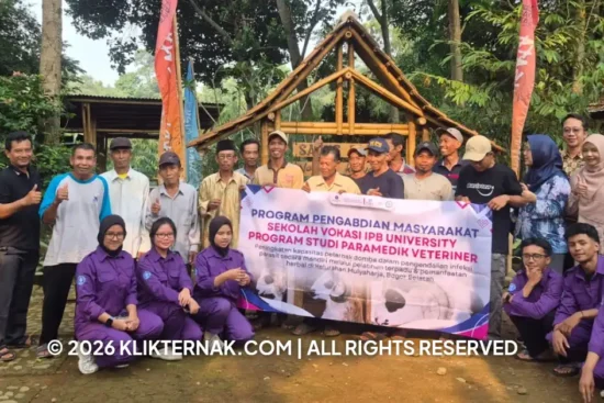 PPM Paramedik Veteriner IPB Latih Peternak Alam Jaya Makmur Kendalikan Parasit Domba
