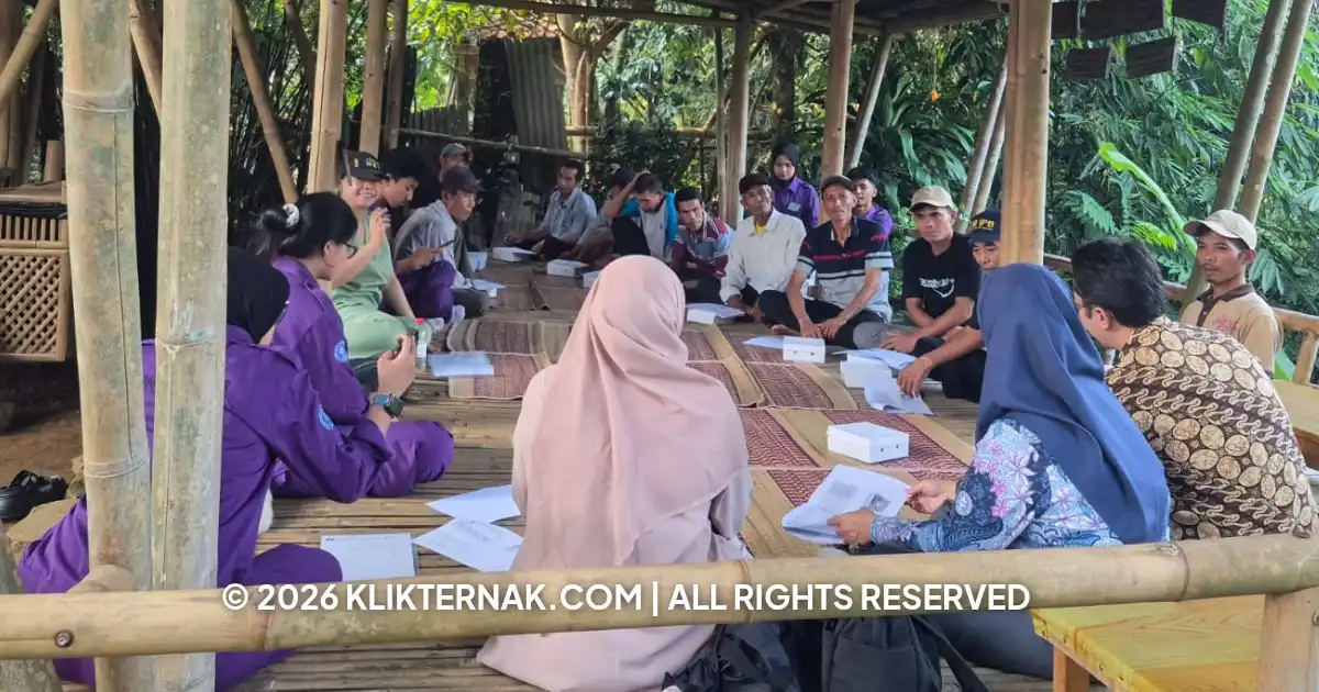Suasana FGD dan penyuluhan kesehatan ternak domba bersama KTD Alam Jaya Makmur di Mulyaharja, Bogor Selatan, Rabu (23/9/2026). (Foto: Tetty)