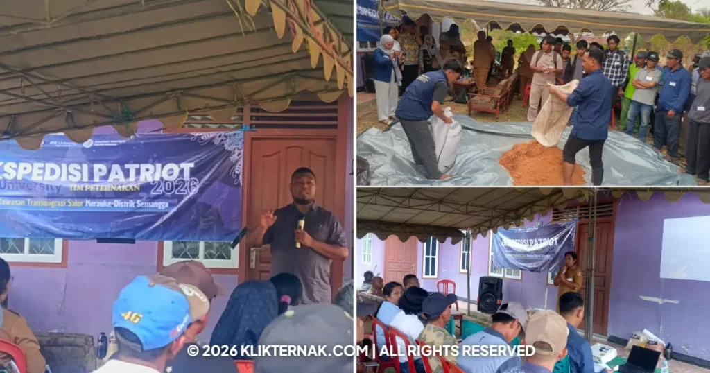 Beranda Klik Ternak