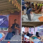 Klikternak 33