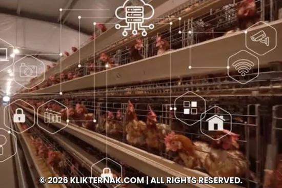AI Membuat Peternakan Lebih Efisien tetapi Belum Murah