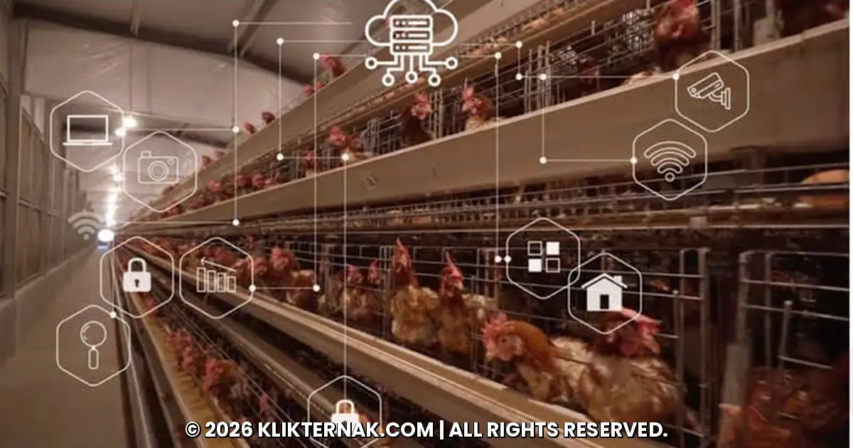 Kandang ayam petelur dengan ikon sensor dan jaringan IoT