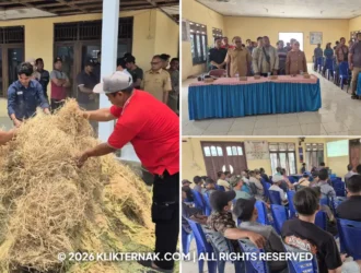Klik Ternak