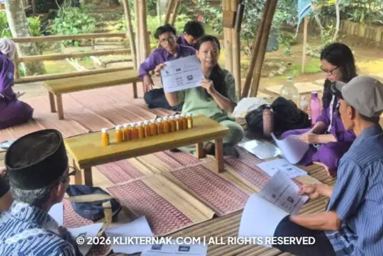 Klik Ternak Cegah Salah Pilih Ternak Paramedik Veteriner Sv Ipb Latih Peternak Tentukan Umur Dari Gigi Domba