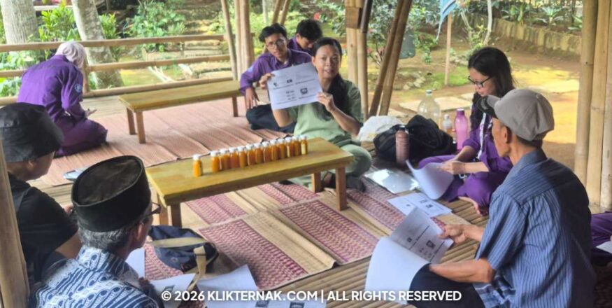Klik Ternak Cegah Salah Pilih Ternak Paramedik Veteriner Sv Ipb Latih Peternak Tentukan Umur Dari Gigi Domba