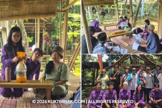 SV IPB Latih Peternak Mulyaharja Produksi Fermentasi Kunyit untuk Kesehatan Domba