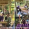 Klik Ternak Paramedik Veteriner Sv Ipb Latih Peternak Mulyaharja Produksi Fermentasi Kunyit Untuk Kesehatan Domba