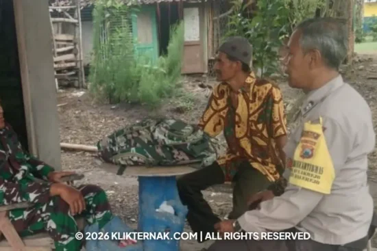 Polres Madiun Sambangi Peternak Kambing, Perkuat Pangan Desa